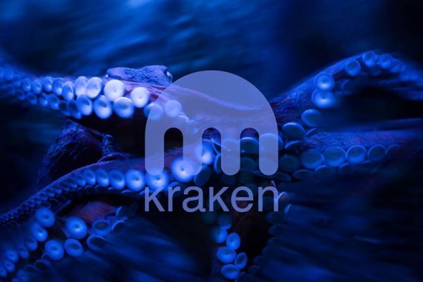 Kraken 24 top